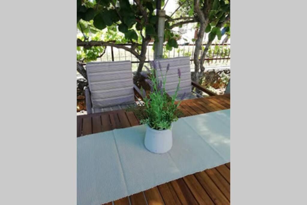 Near Beach - Apartments Marica - Studio Ровин Екстериор снимка