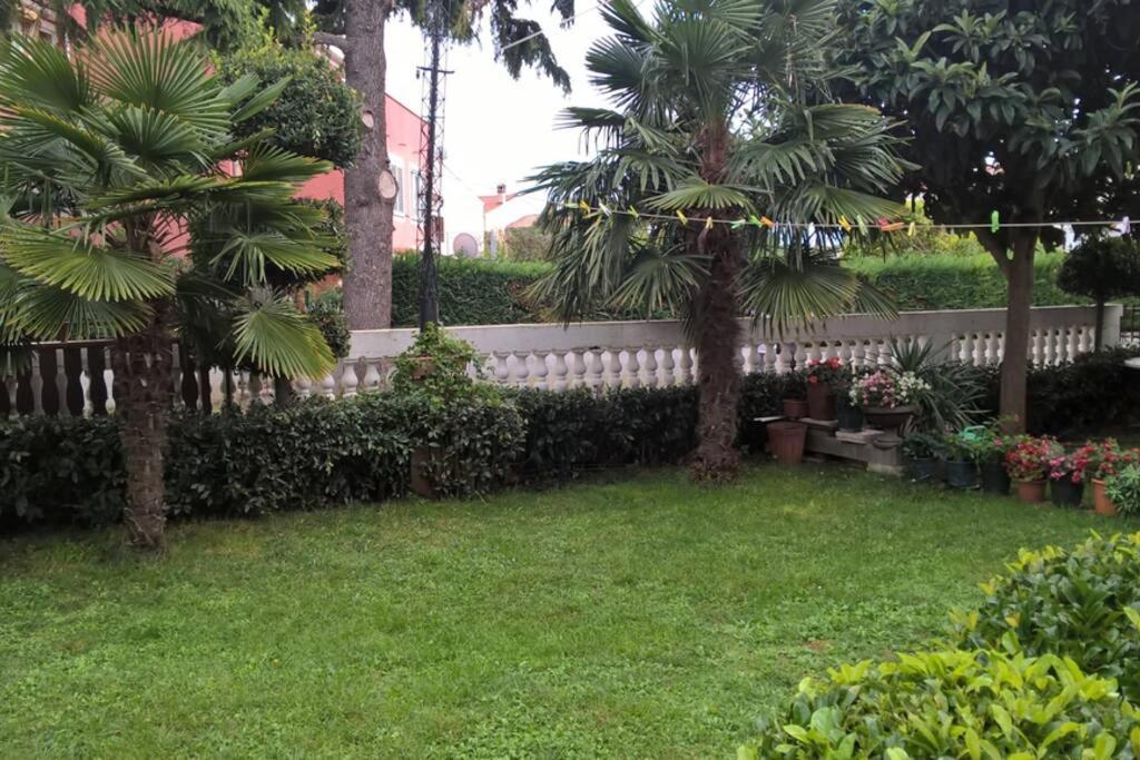 Near Beach - Apartments Marica - Studio Ровин Екстериор снимка
